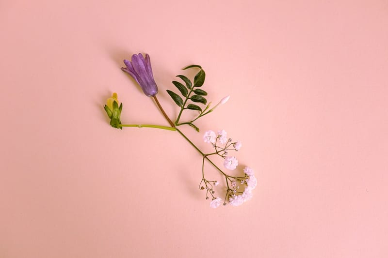 Fond d'écran tendance pour smartphone